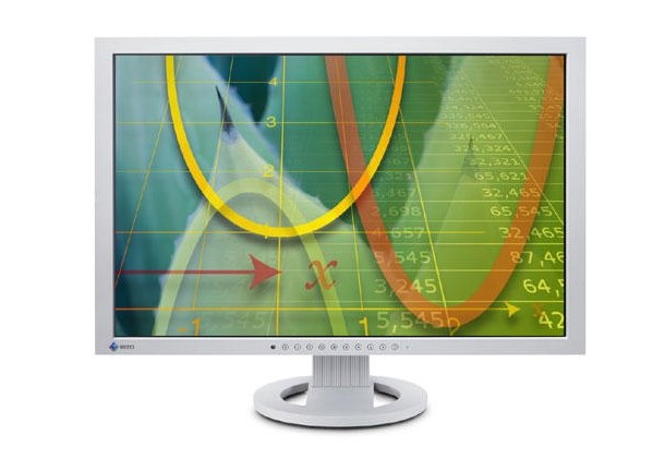 24" LCD EIZO FlexScan S2433W Gray